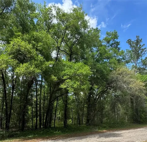 433 E Avondale Drive Dunnellon FL 34434