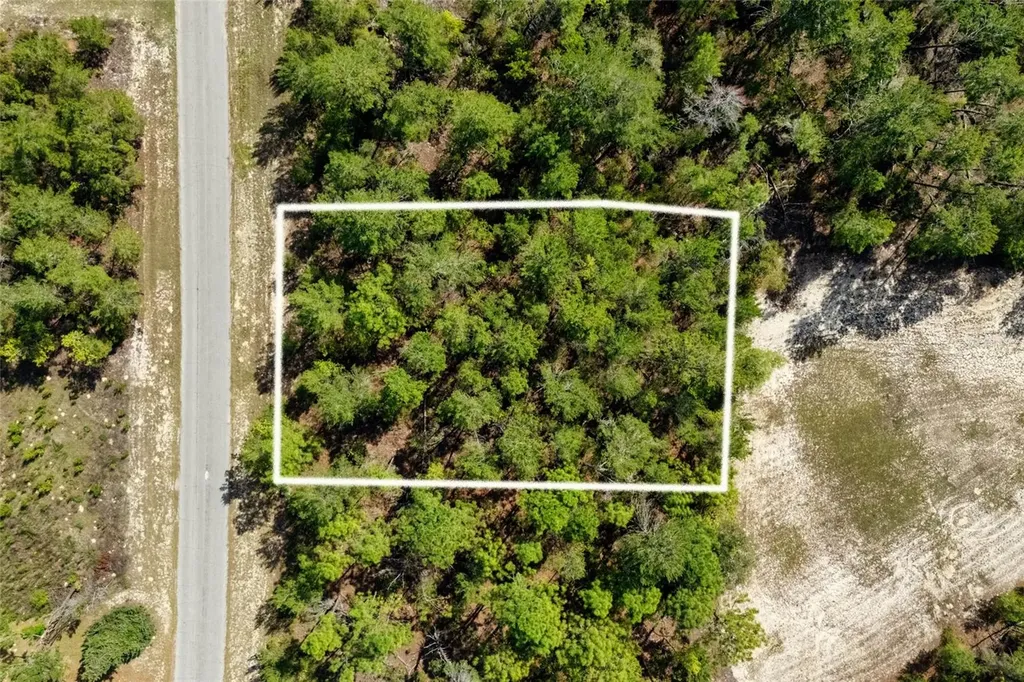 SW 41st Circle Ocala FL 34473