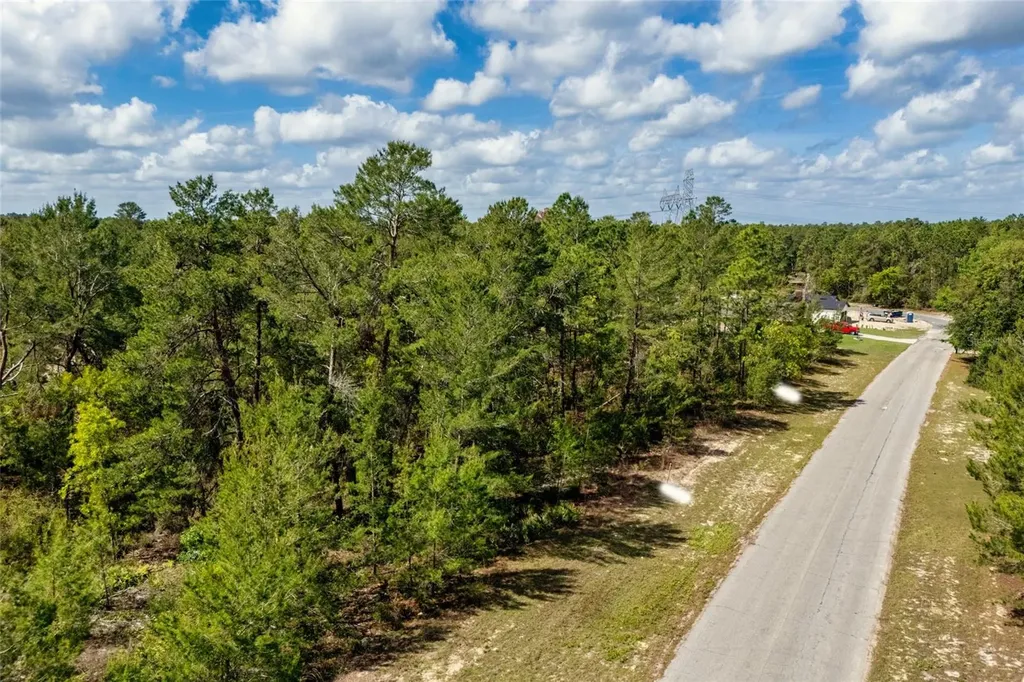 SW 41st Circle Ocala FL 34473