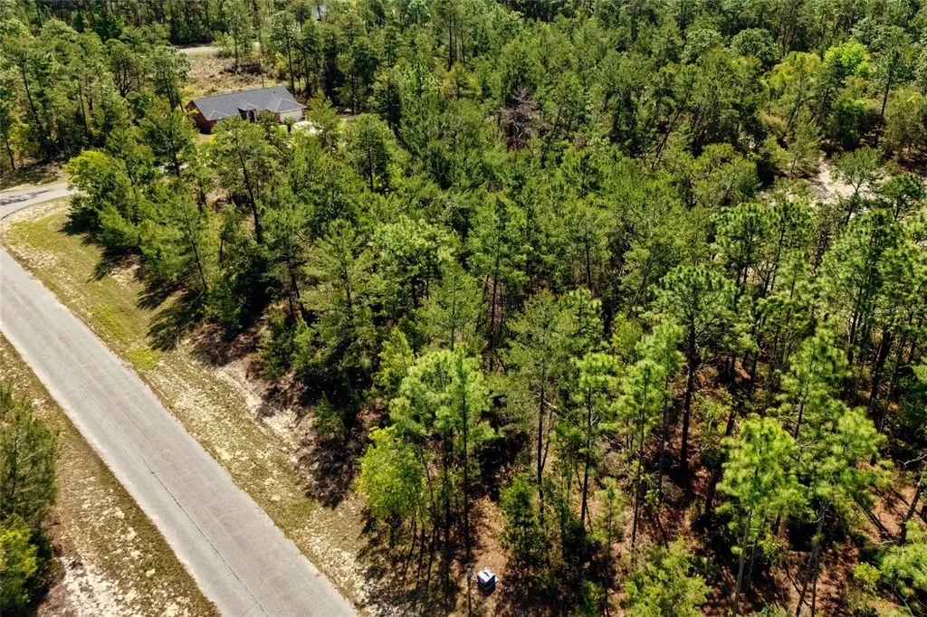 SW 41st Circle Ocala FL 34473