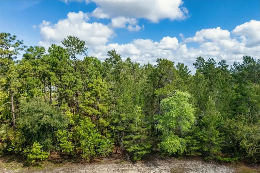 SW 41st Circle Ocala FL 34473