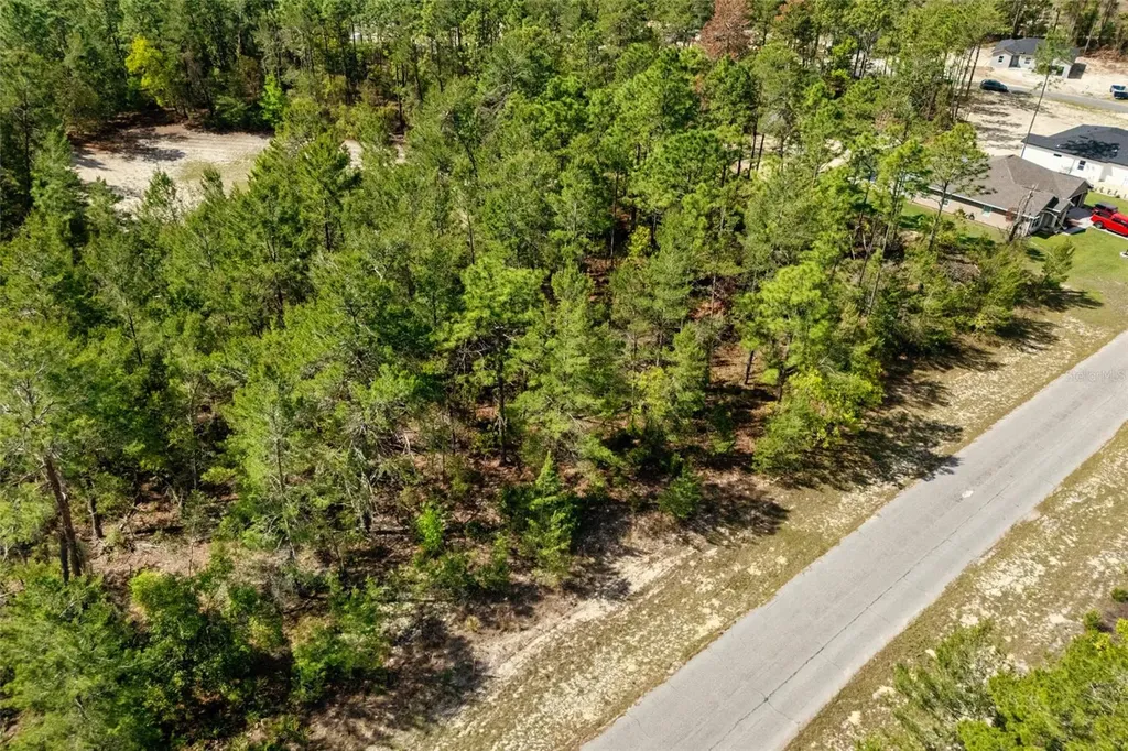 SW 41st Circle Ocala FL 34473