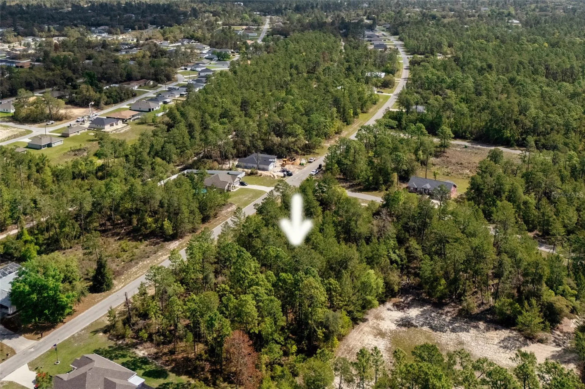 SW 41st Circle Ocala FL 34473