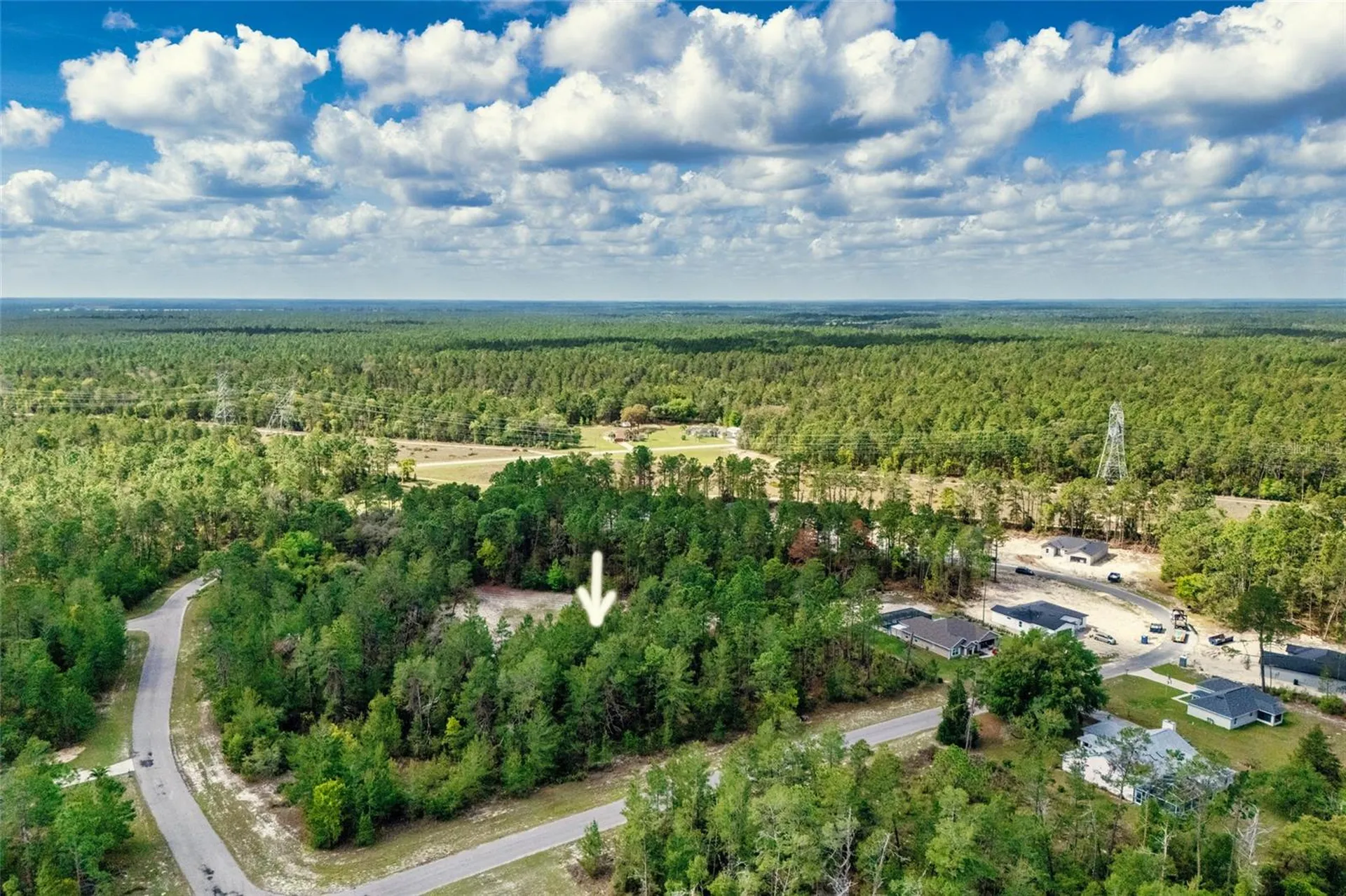 SW 41st Circle Ocala FL 34473