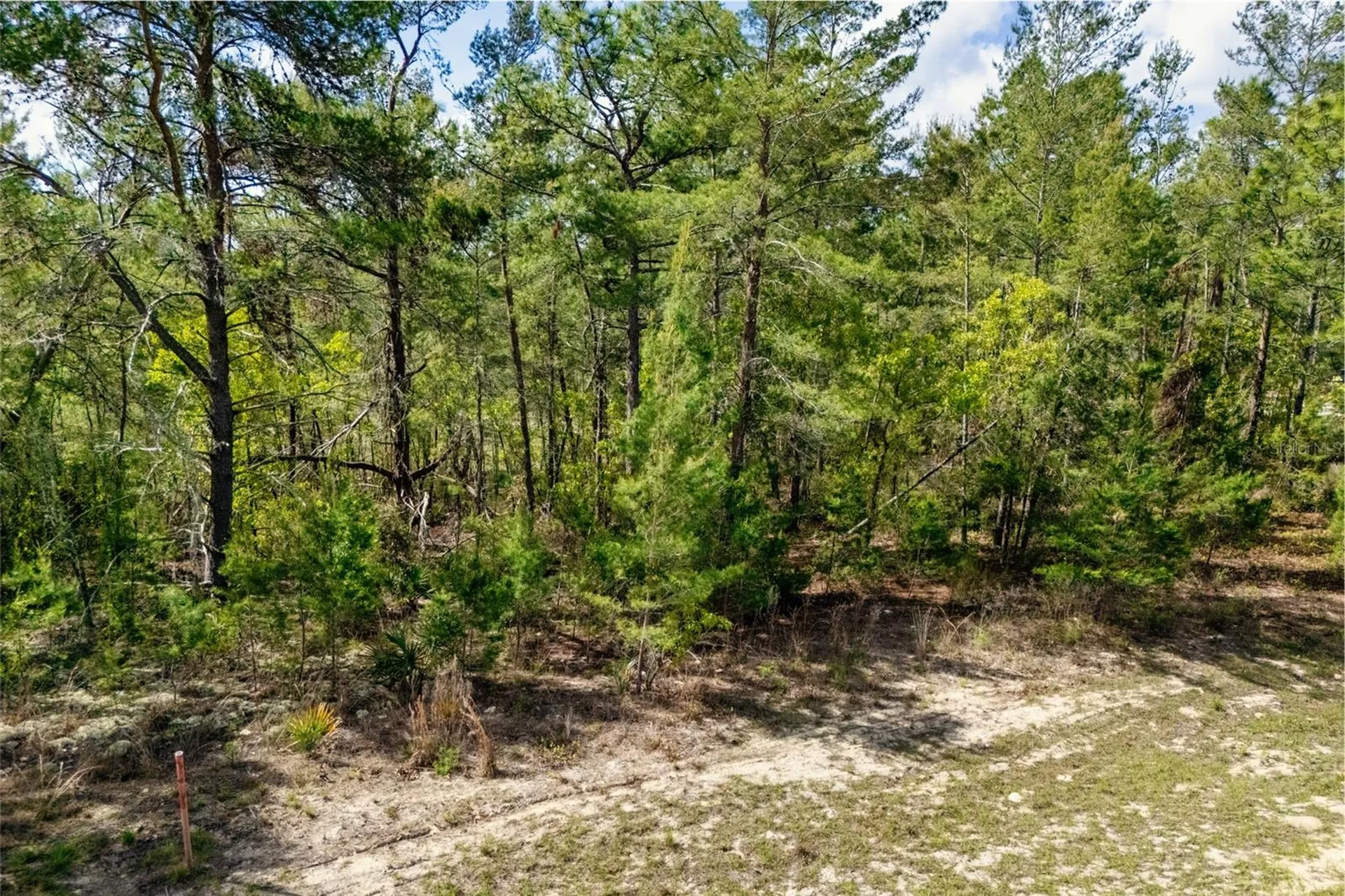 SW 41st Circle Ocala FL 34473