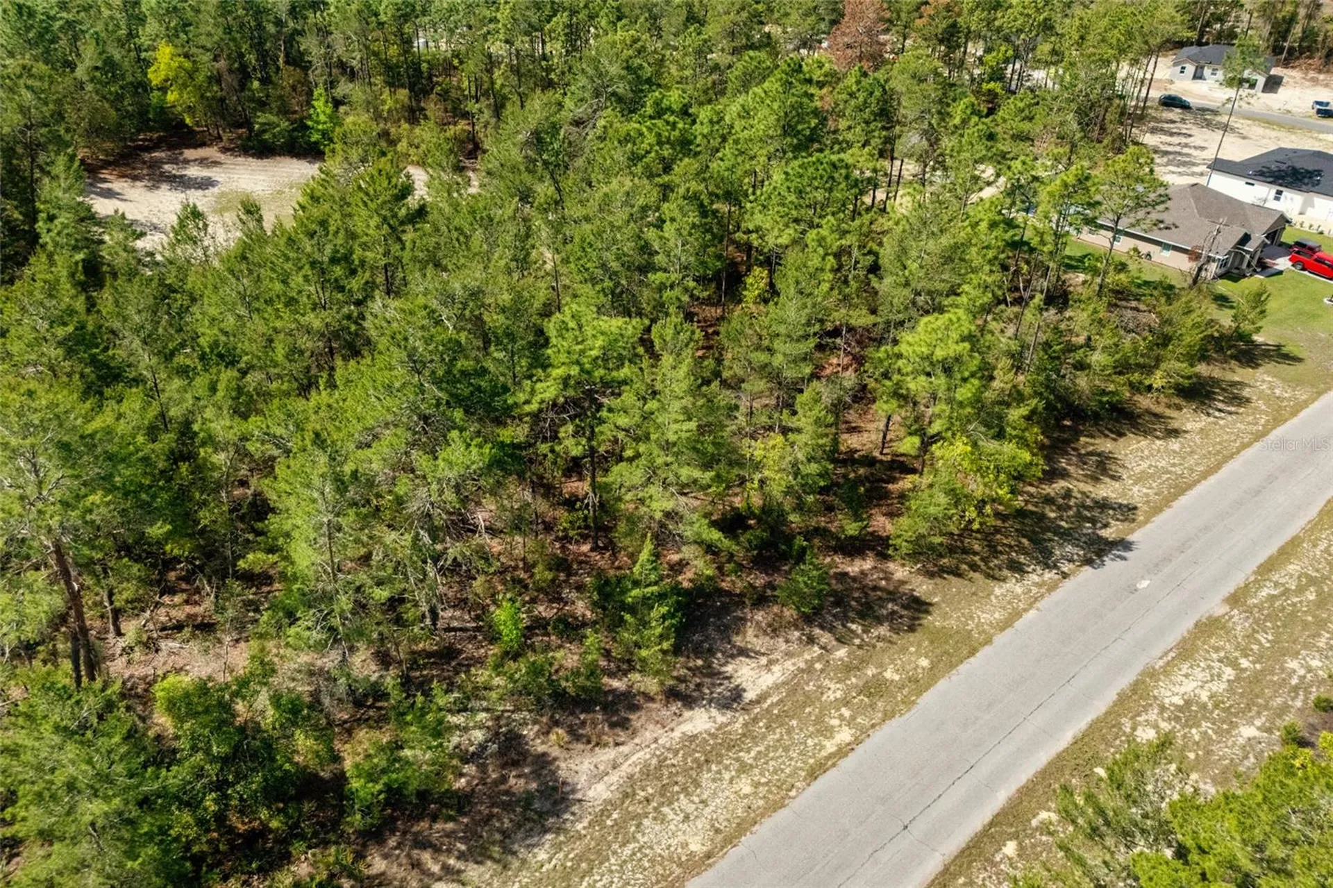 SW 41st Circle Ocala FL 34473