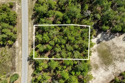 SW 41st Circle Ocala FL 34473