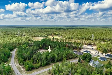 SW 41st Circle Ocala FL 34473