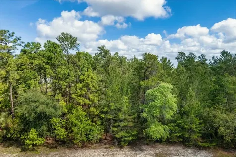 SW 41st Circle Ocala FL 34473