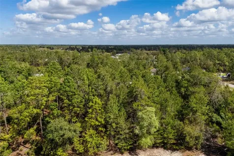 SW 41st Circle Ocala FL 34473