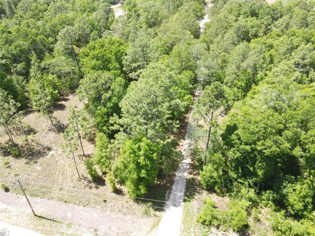 SW 29 Lane Ocala FL 34481