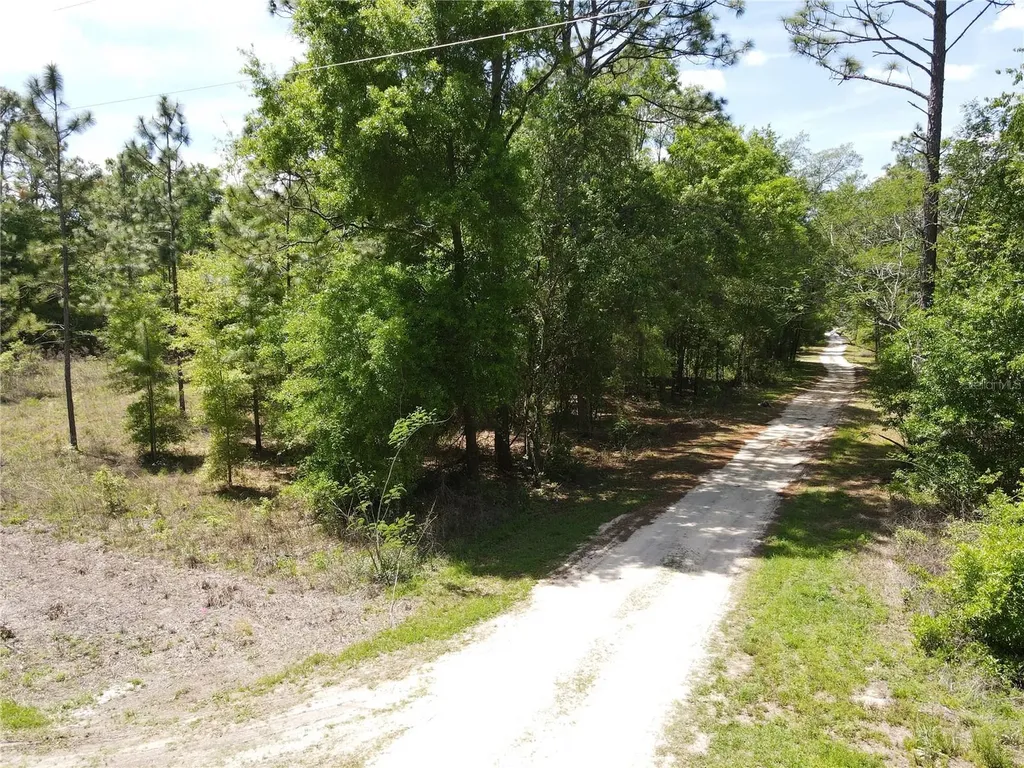SW 29 Lane Ocala FL 34481