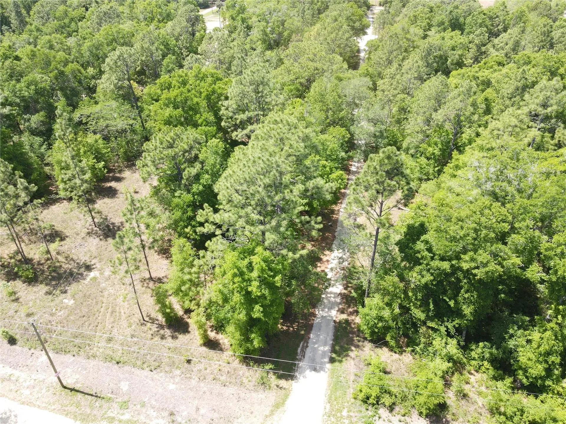 SW 29 Lane Ocala FL 34481