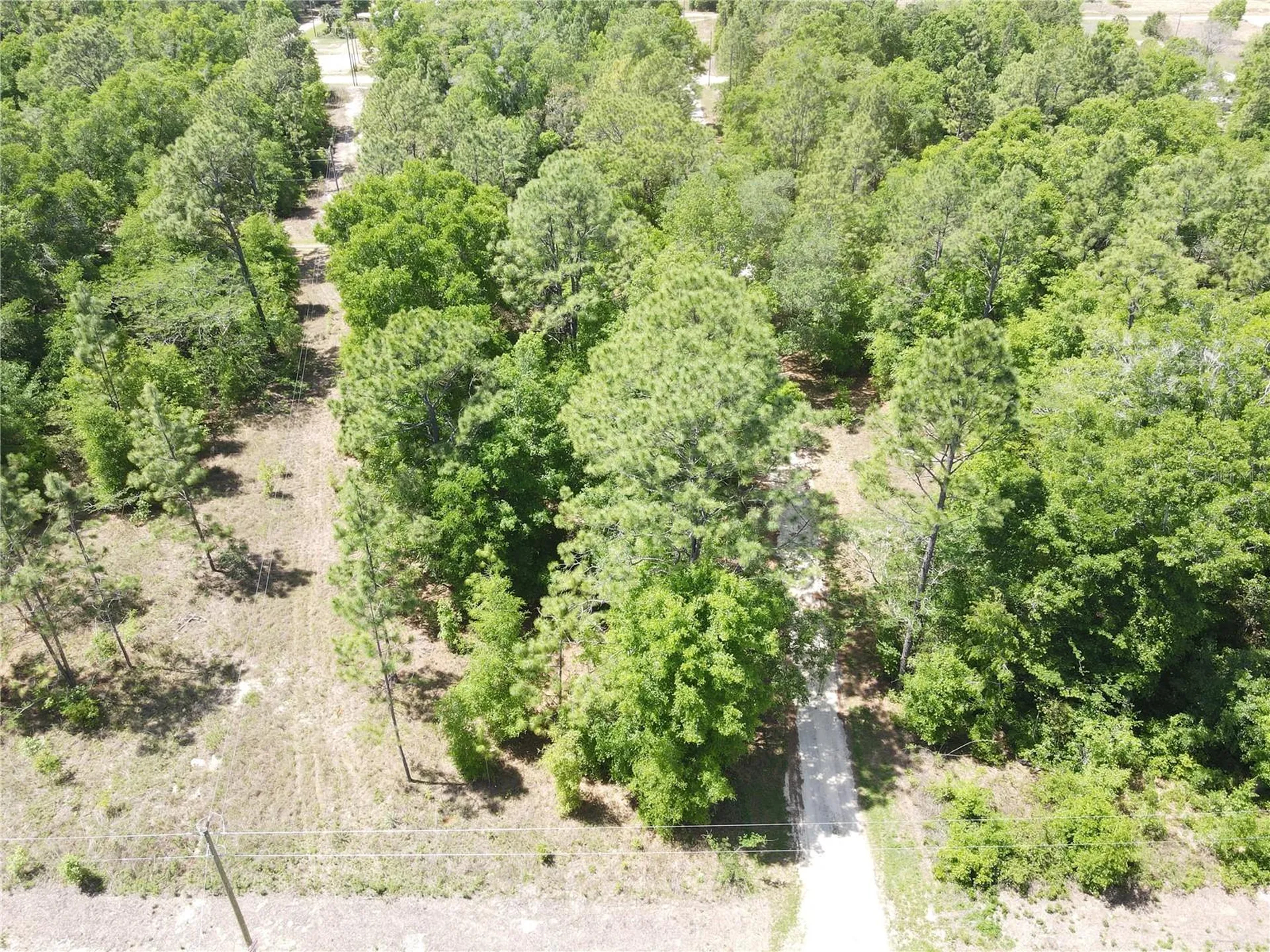 SW 29 Lane Ocala FL 34481