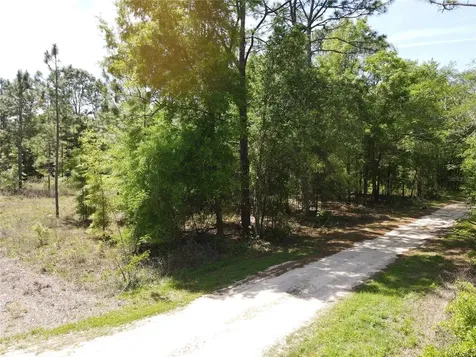 SW 29 Lane Ocala FL 34481