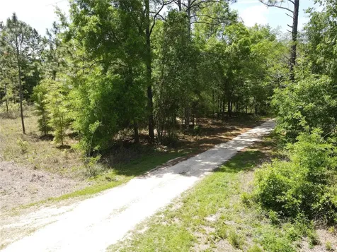 SW 29 Lane Ocala FL 34481