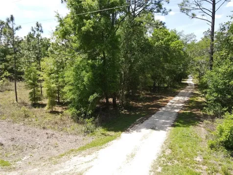 SW 29 Lane Ocala FL 34481