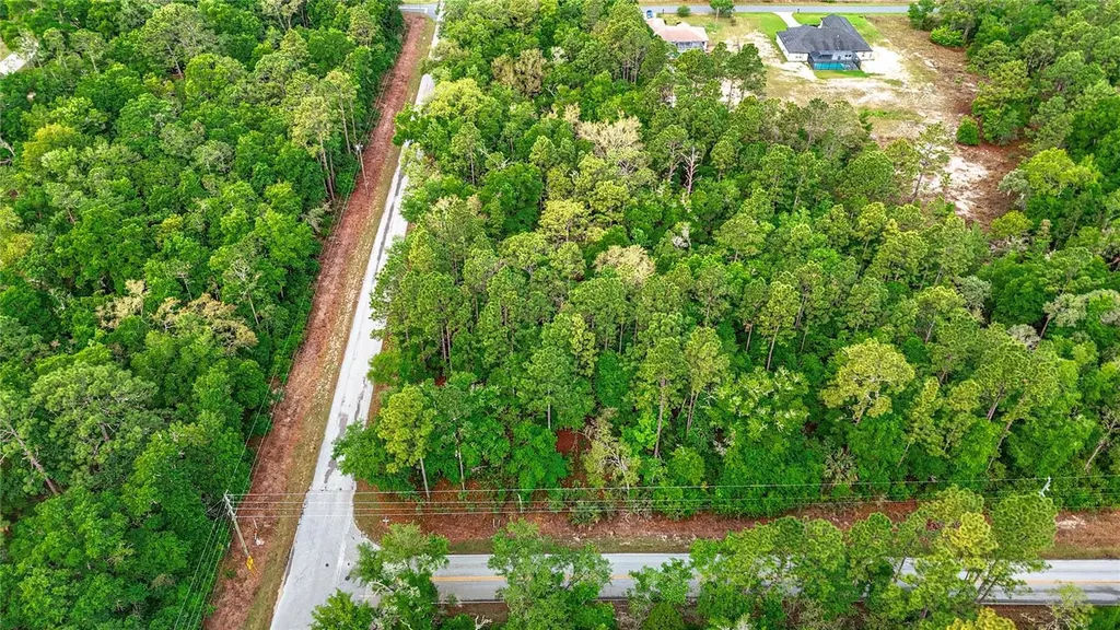 0 SW Breezy Point Drive Dunnellon FL 34431