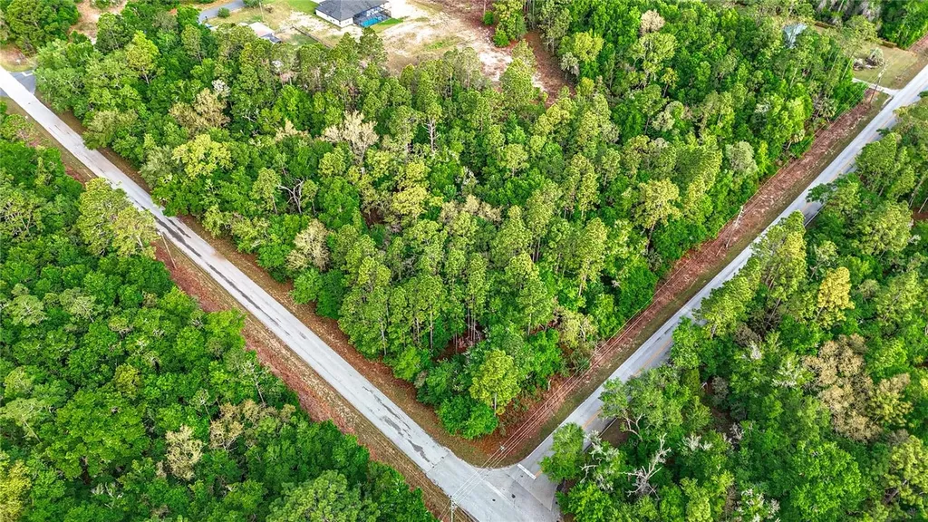 0 SW Breezy Point Drive Dunnellon FL 34431