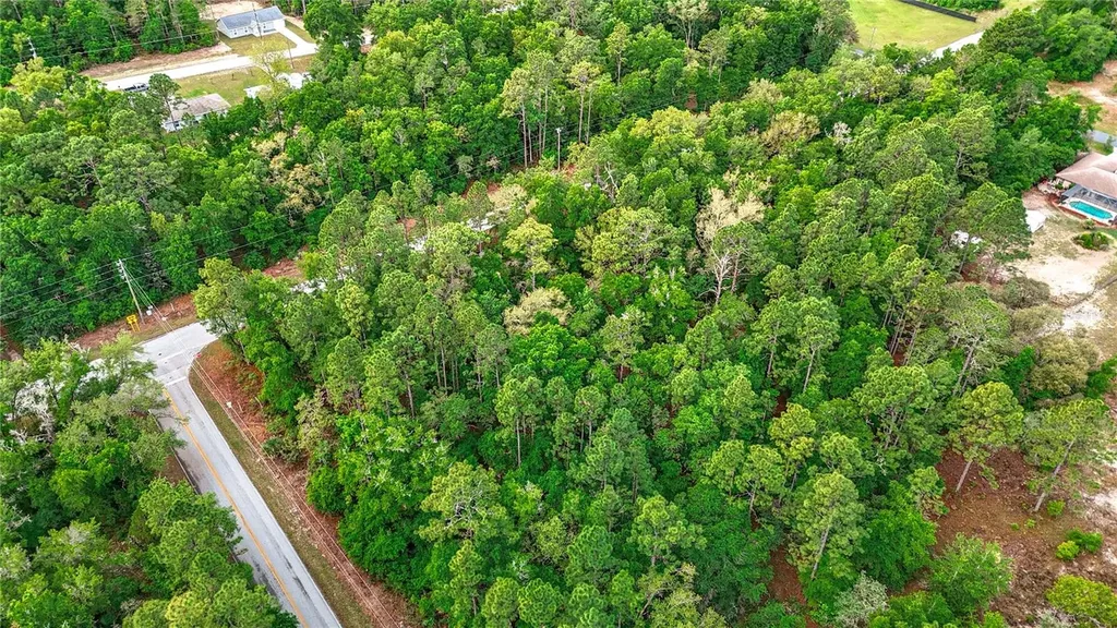 0 SW Breezy Point Drive Dunnellon FL 34431