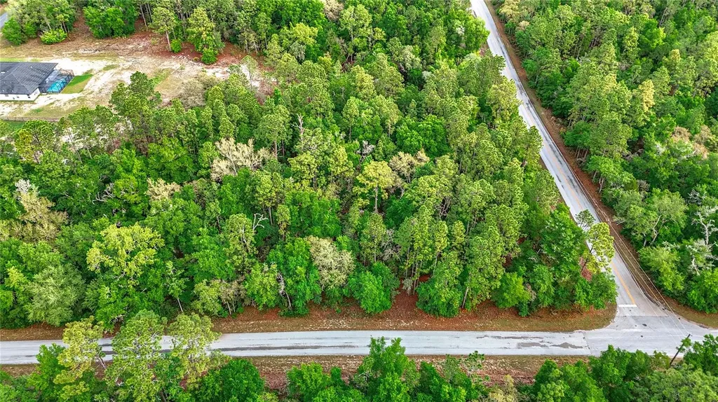 0 SW Breezy Point Drive Dunnellon FL 34431