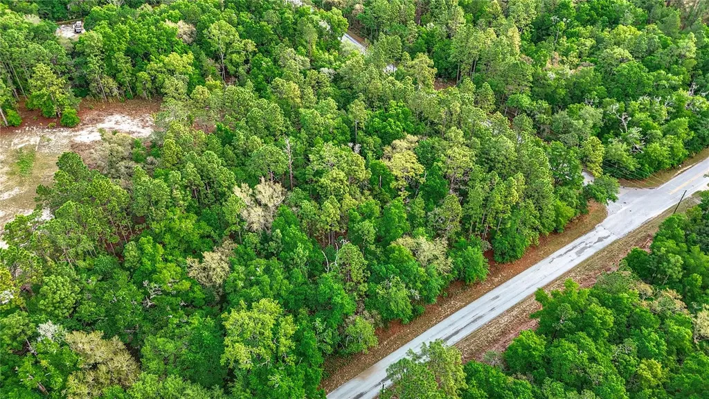0 SW Breezy Point Drive Dunnellon FL 34431