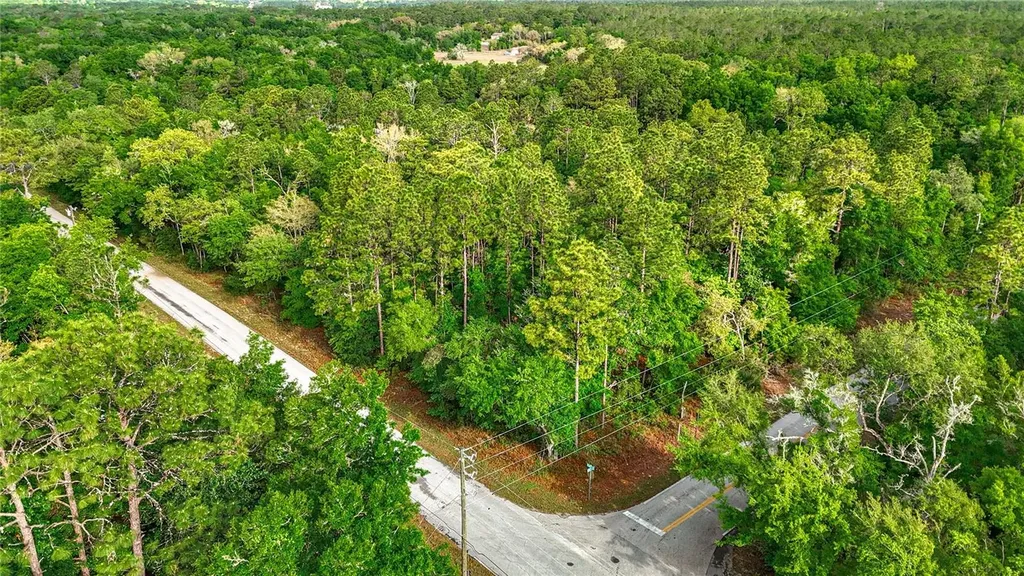 0 SW Breezy Point Drive Dunnellon FL 34431