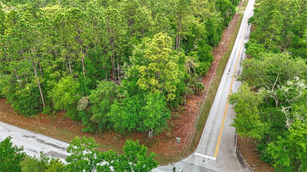 0 SW Breezy Point Drive Dunnellon FL 34431
