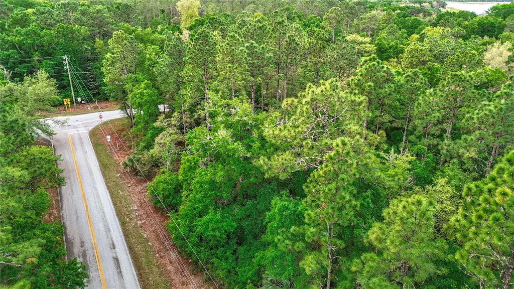 0 SW Breezy Point Drive Dunnellon FL 34431