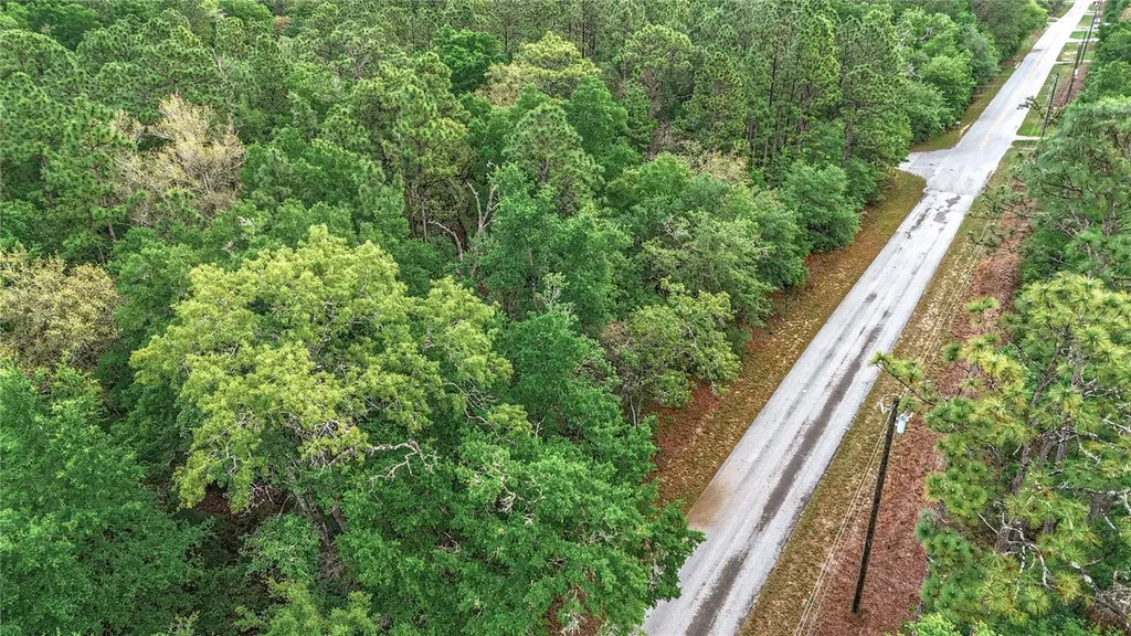0 SW Breezy Point Drive Dunnellon FL 34431