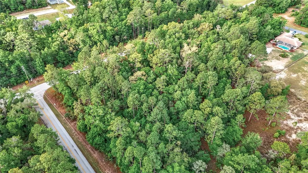 0 SW Breezy Point Drive Dunnellon FL 34431