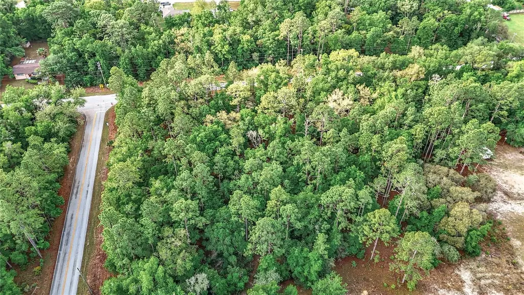 0 SW Breezy Point Drive Dunnellon FL 34431