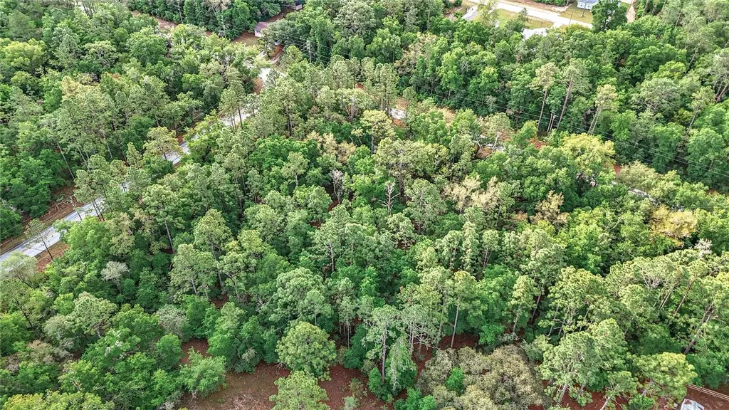 0 SW Breezy Point Drive Dunnellon FL 34431