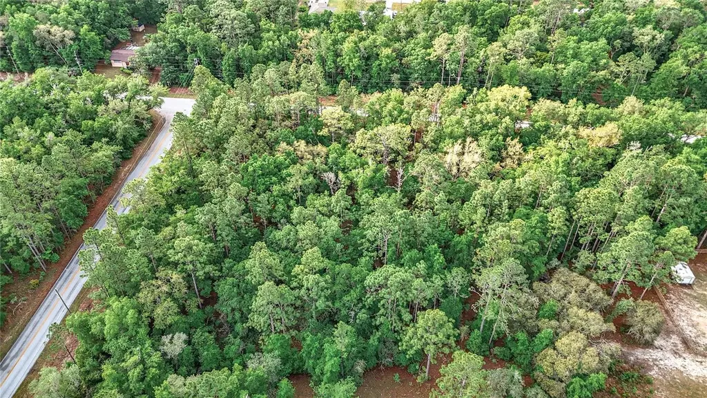 0 SW Breezy Point Drive Dunnellon FL 34431