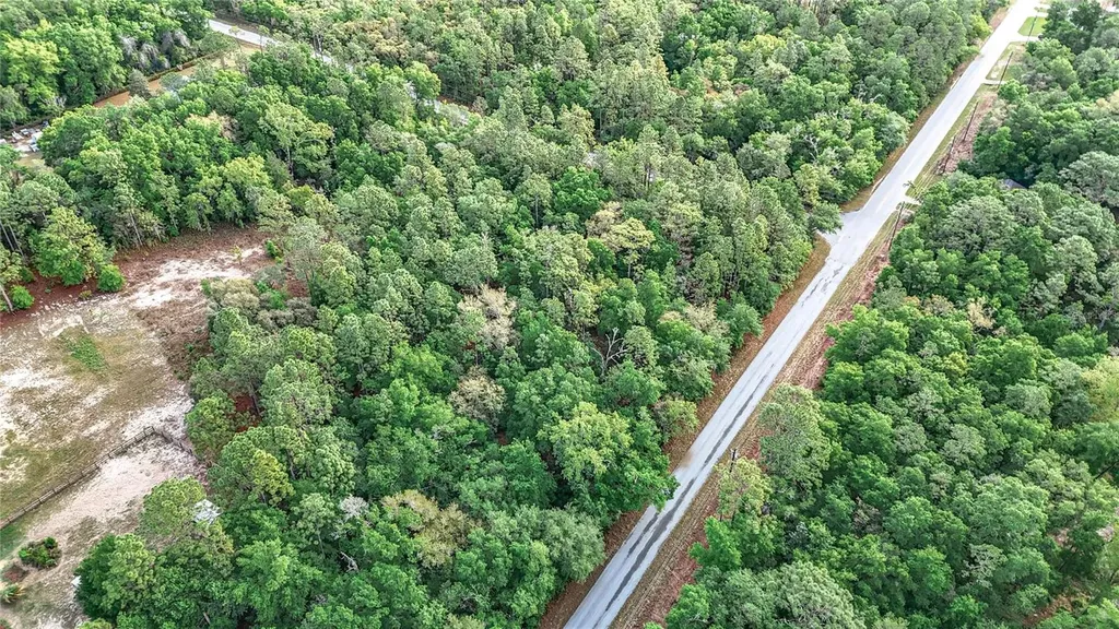 0 SW Breezy Point Drive Dunnellon FL 34431