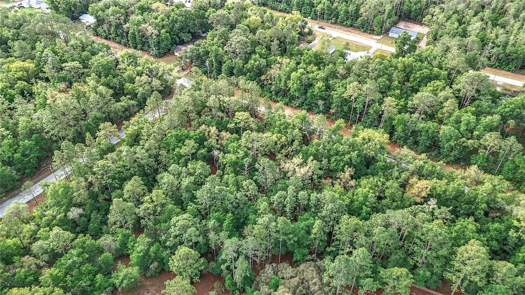0 SW Breezy Point Drive Dunnellon FL 34431