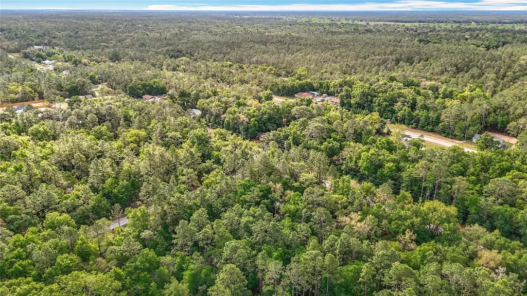 0 SW Breezy Point Drive Dunnellon FL 34431