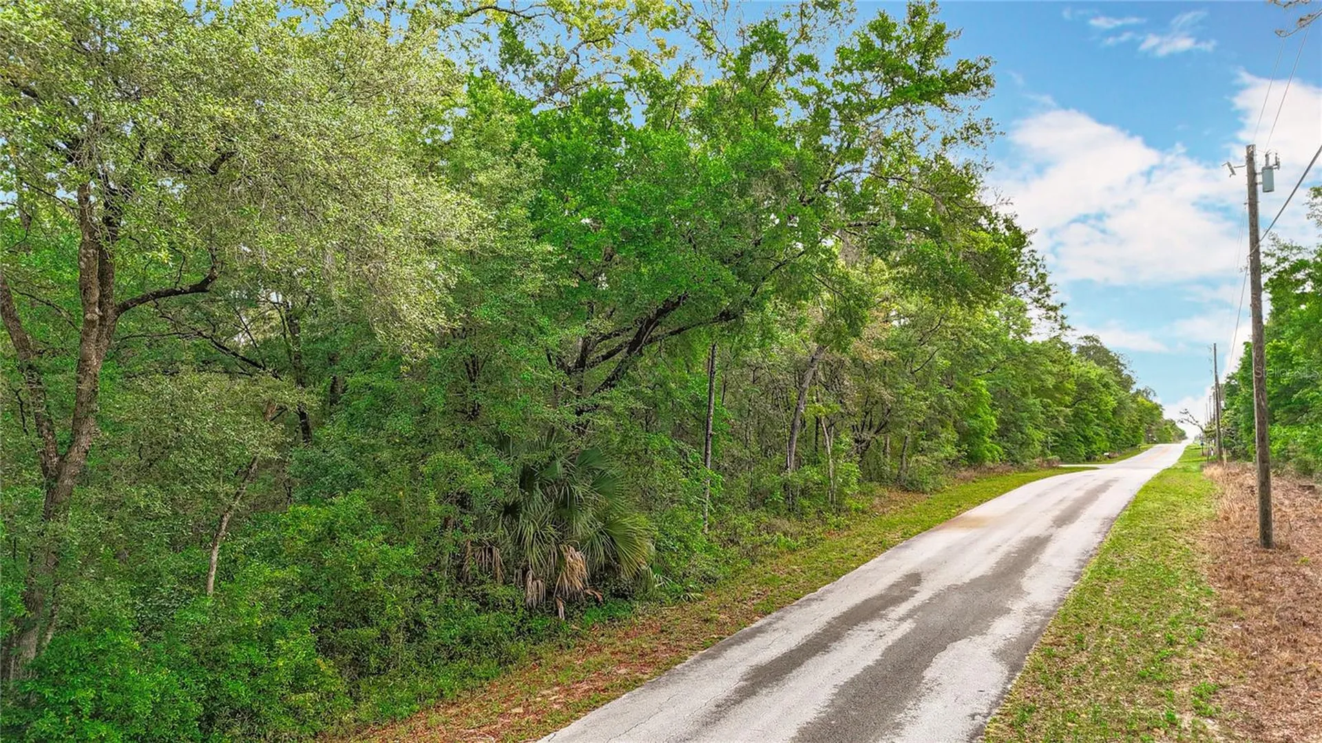 0 SW Breezy Point Drive Dunnellon FL 34431