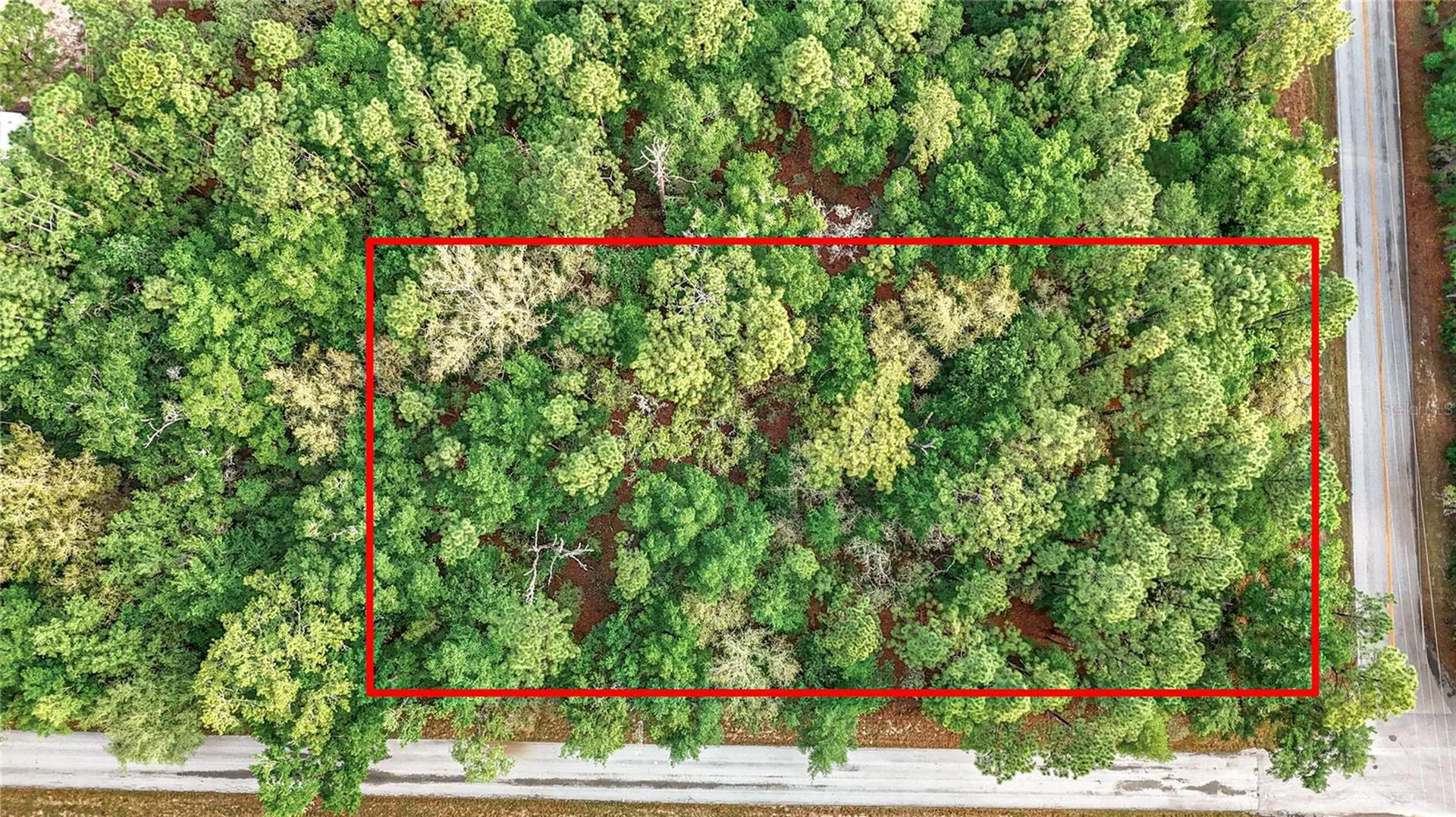 0 SW Breezy Point Drive Dunnellon FL 34431