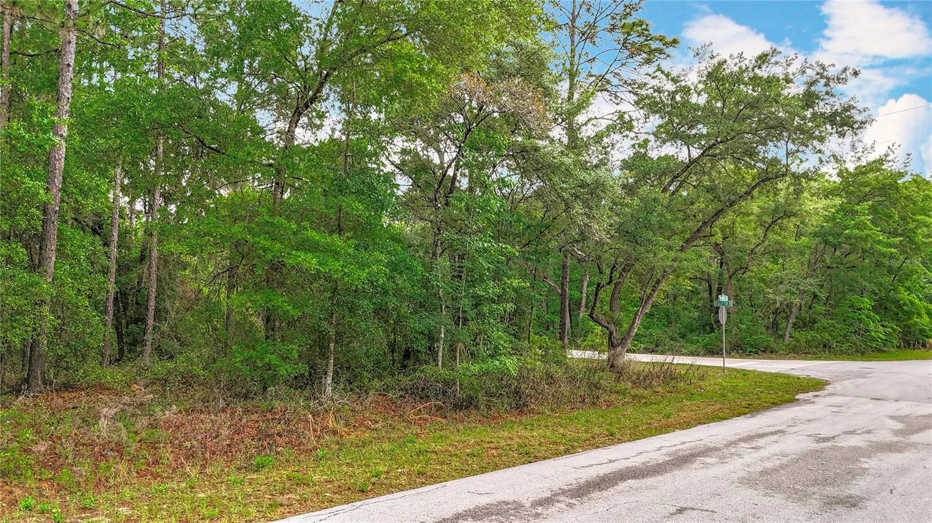 0 SW Breezy Point Drive Dunnellon FL 34431