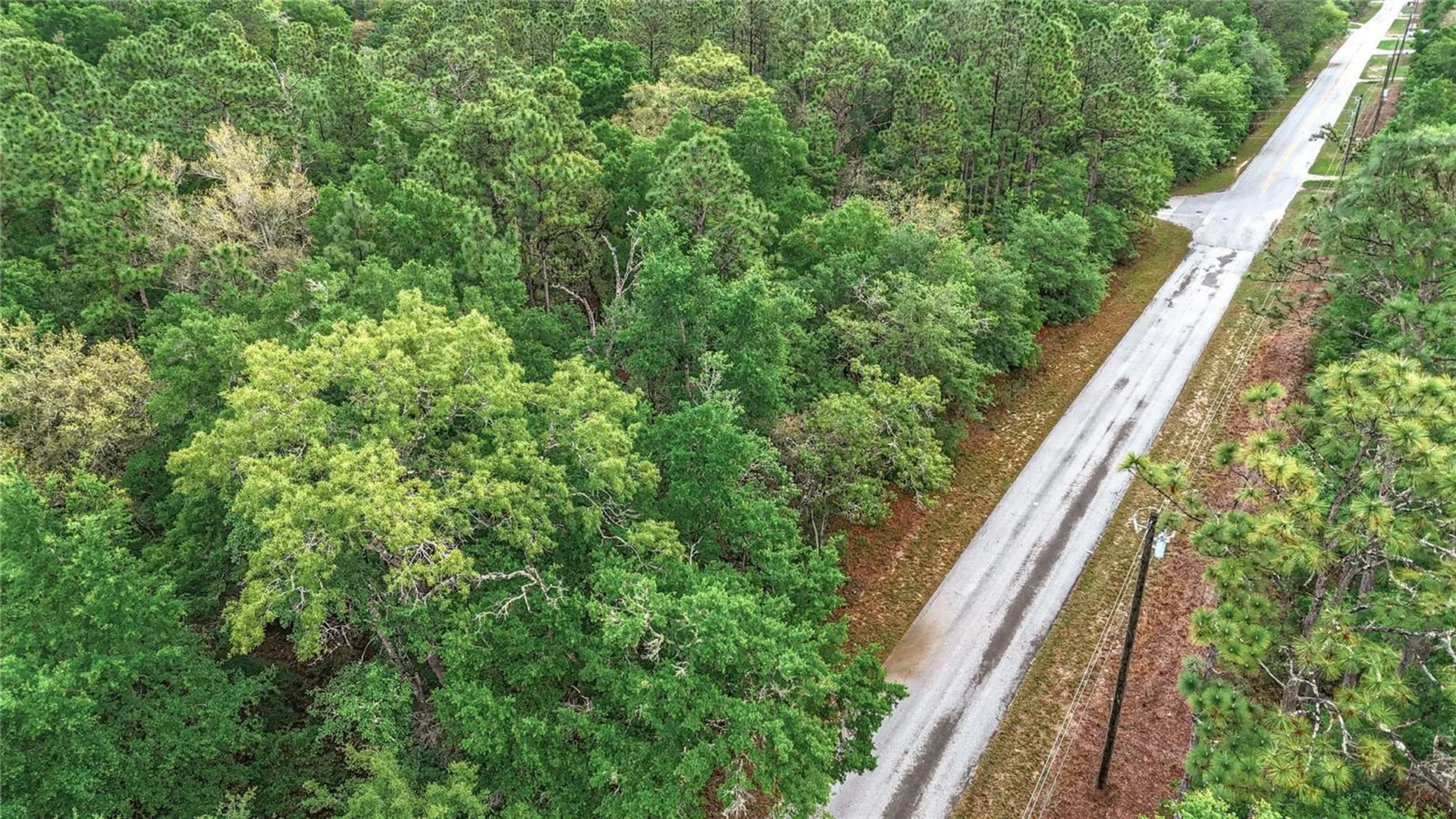 0 SW Breezy Point Drive Dunnellon FL 34431
