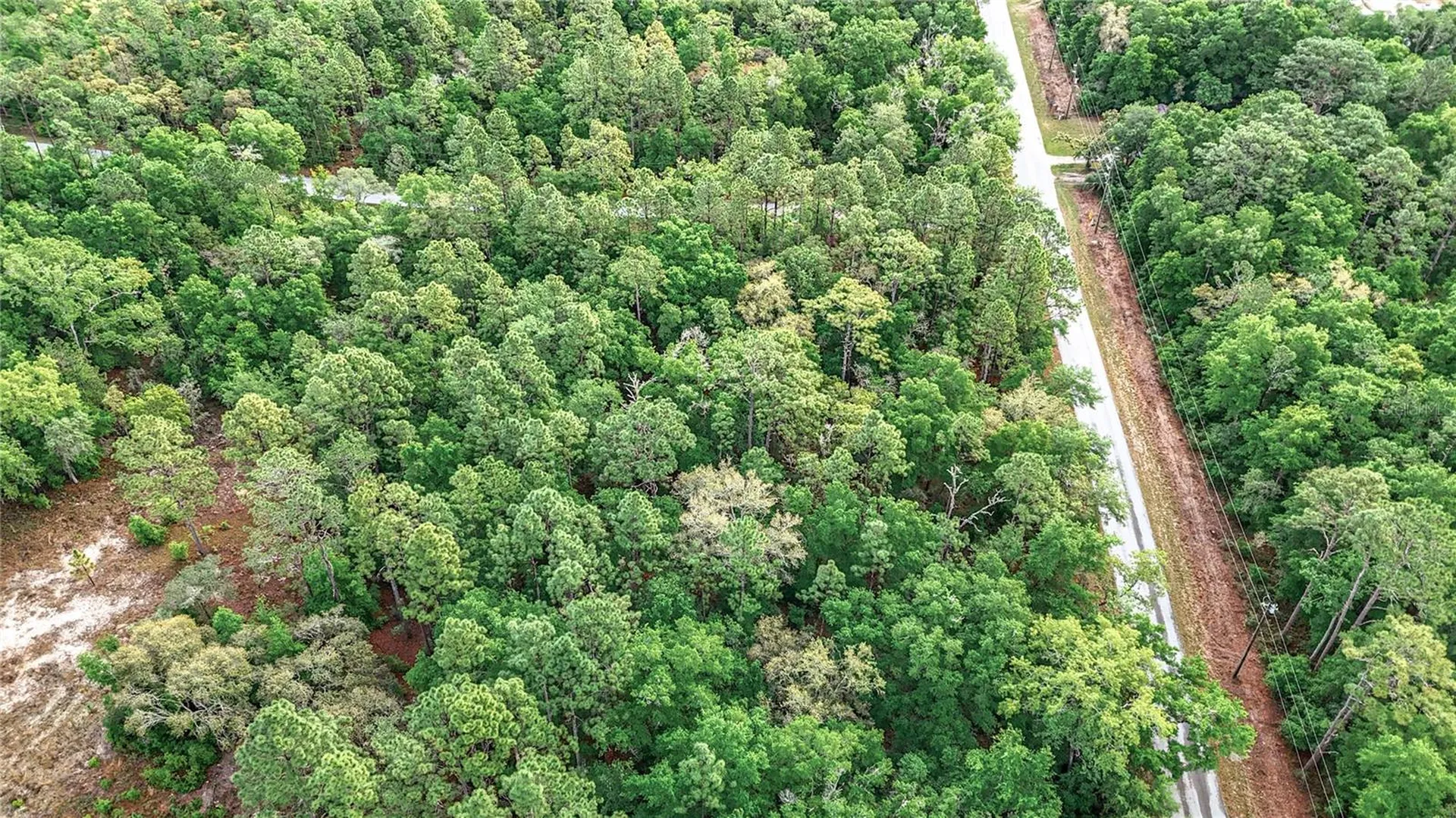 0 SW Breezy Point Drive Dunnellon FL 34431