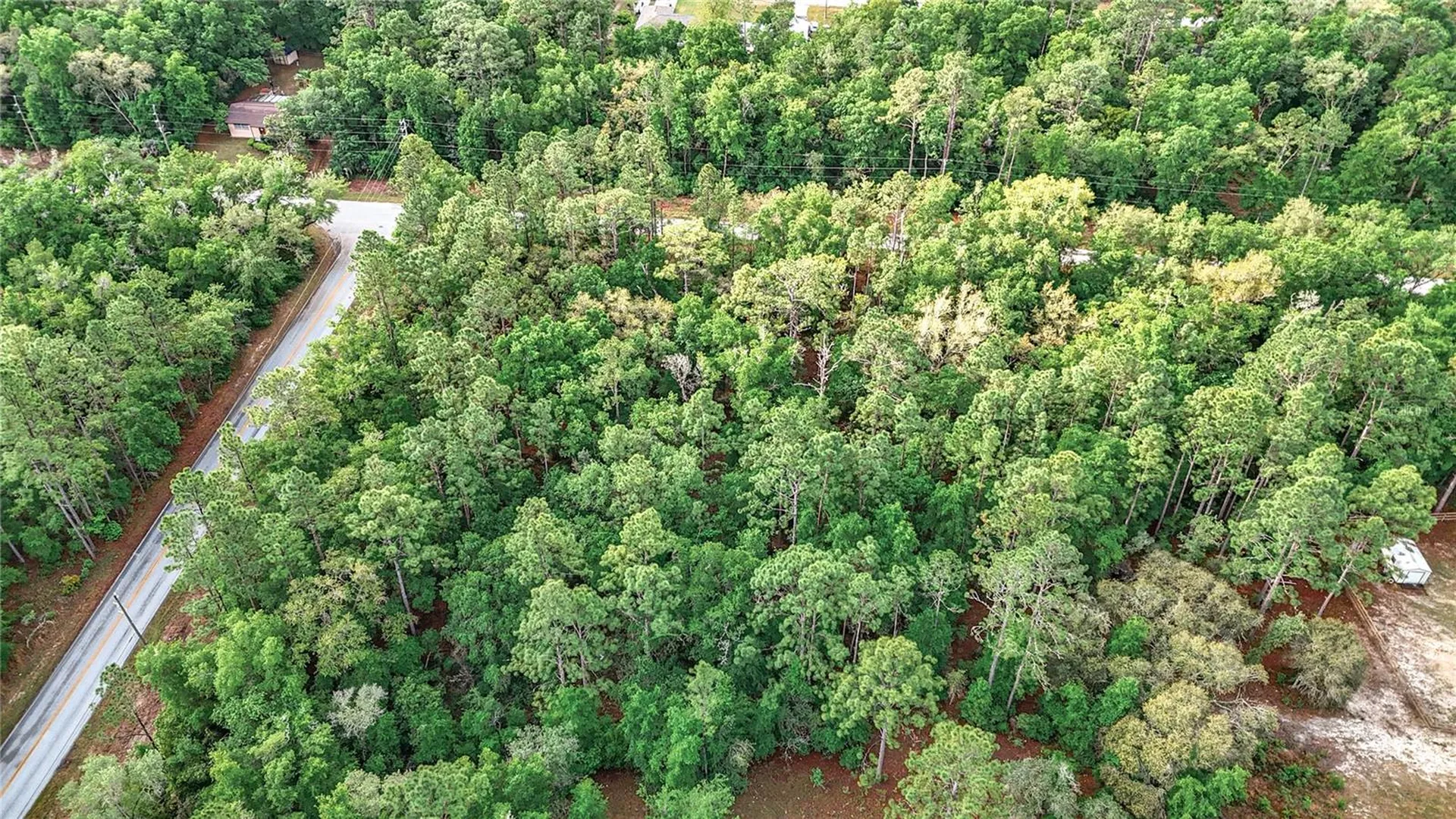 0 SW Breezy Point Drive Dunnellon FL 34431