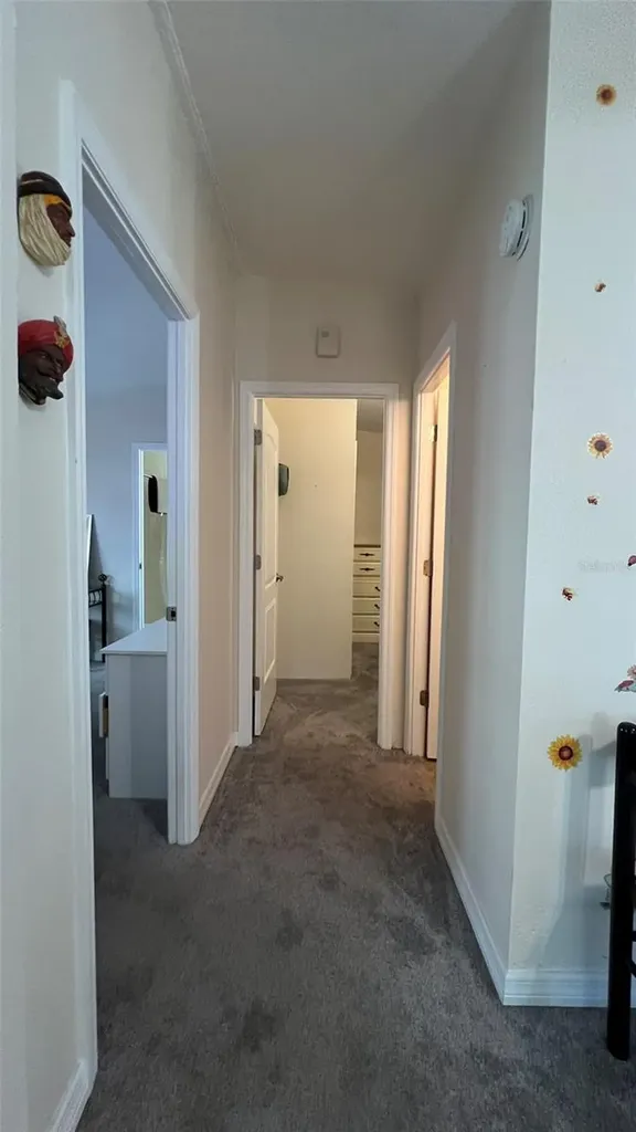 3829 Chah Drive Zephyrhills FL 33541