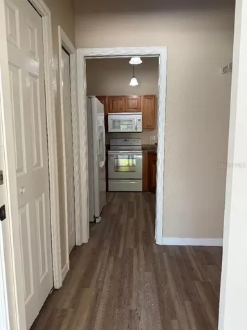3355 Abeline Road Spring Hill FL 34608