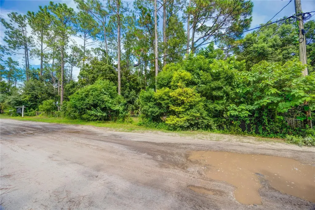 7408 Tom Drive Land O Lakes FL 34638