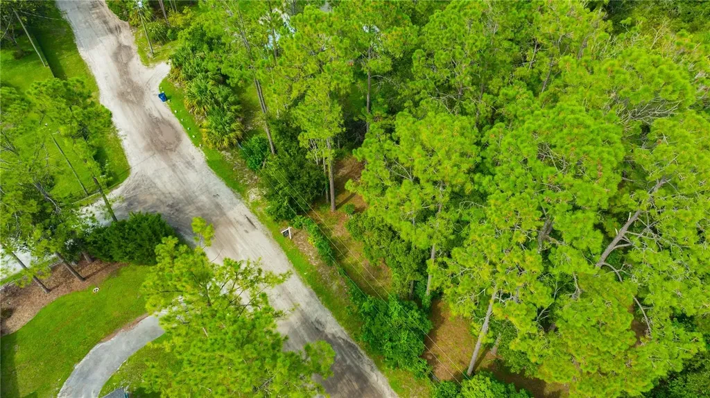 7408 Tom Drive Land O Lakes FL 34638