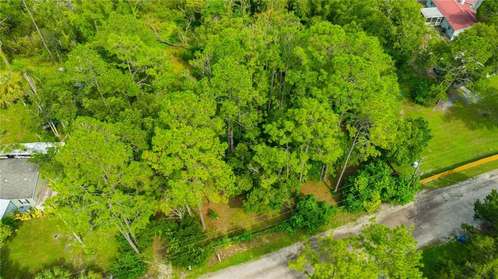 7408 Tom Drive Land O Lakes FL 34638