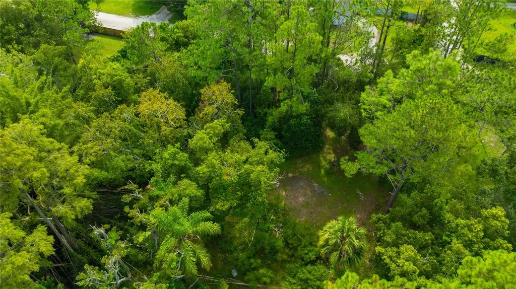 7408 Tom Drive Land O Lakes FL 34638