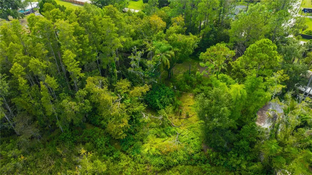 7408 Tom Drive Land O Lakes FL 34638